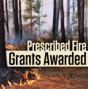 Texas A&M Forest Service has awarded $522,162 in grants to Texas landowners for the treatment of more than 18,000 acres with prescribed burning.